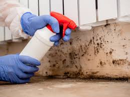 Best Real Estate Mold Inspection  in Cottage Grove, WI